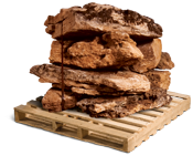 Weathered Limestone Ledge Boulder