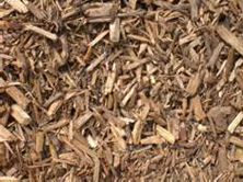 Playground Mulch